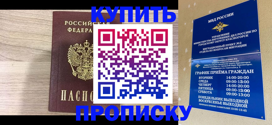 прописка 2025 в Лыткарино